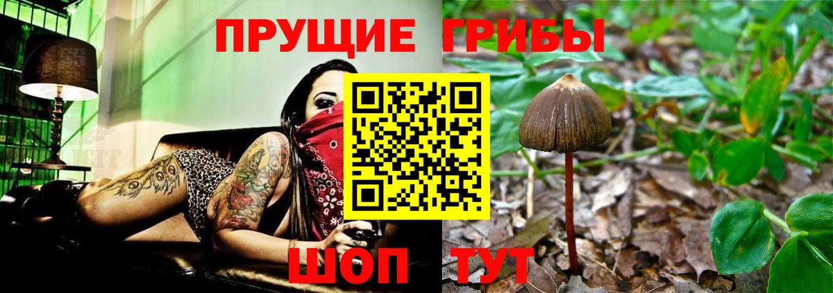 как найти закладки  Псилоцибиновые грибы MAGIC MUSHROOMS  Псилоцибиновые грибы ЛСД  Вход с VPN  Арзамас 